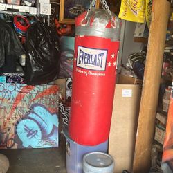 Everlast Punching Bag 