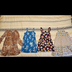 Little Girls Dresses Size 5T. $40 For All 