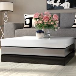 Modern & Elegant Coffee Table