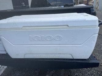 igloo maxcold outdoor cooler box.