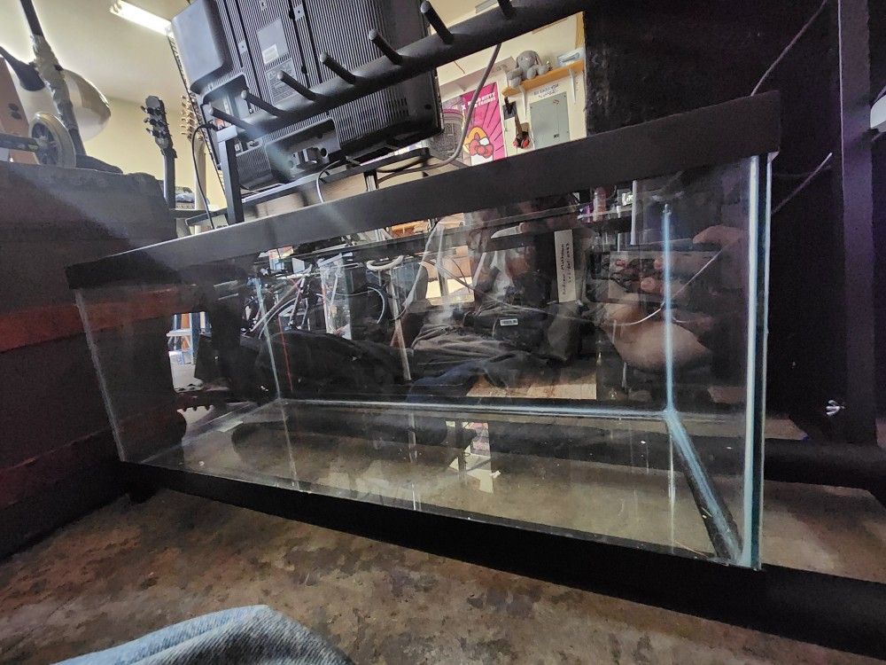 55 Gallon Fish Tank