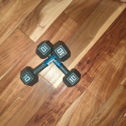 10 Pound Dumbbells 