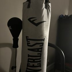 Everlast Heavy Boxing Bag With Bag Stand