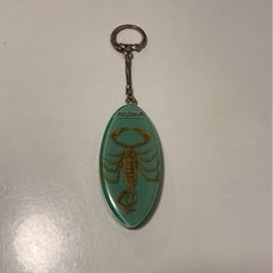 Vintage Arizona Keychain With Real Scorpion Inside 