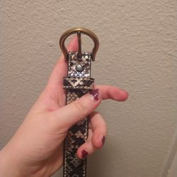 Belt Bundle 