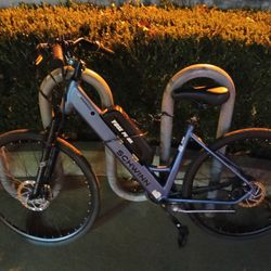 Schwinn E-Bike