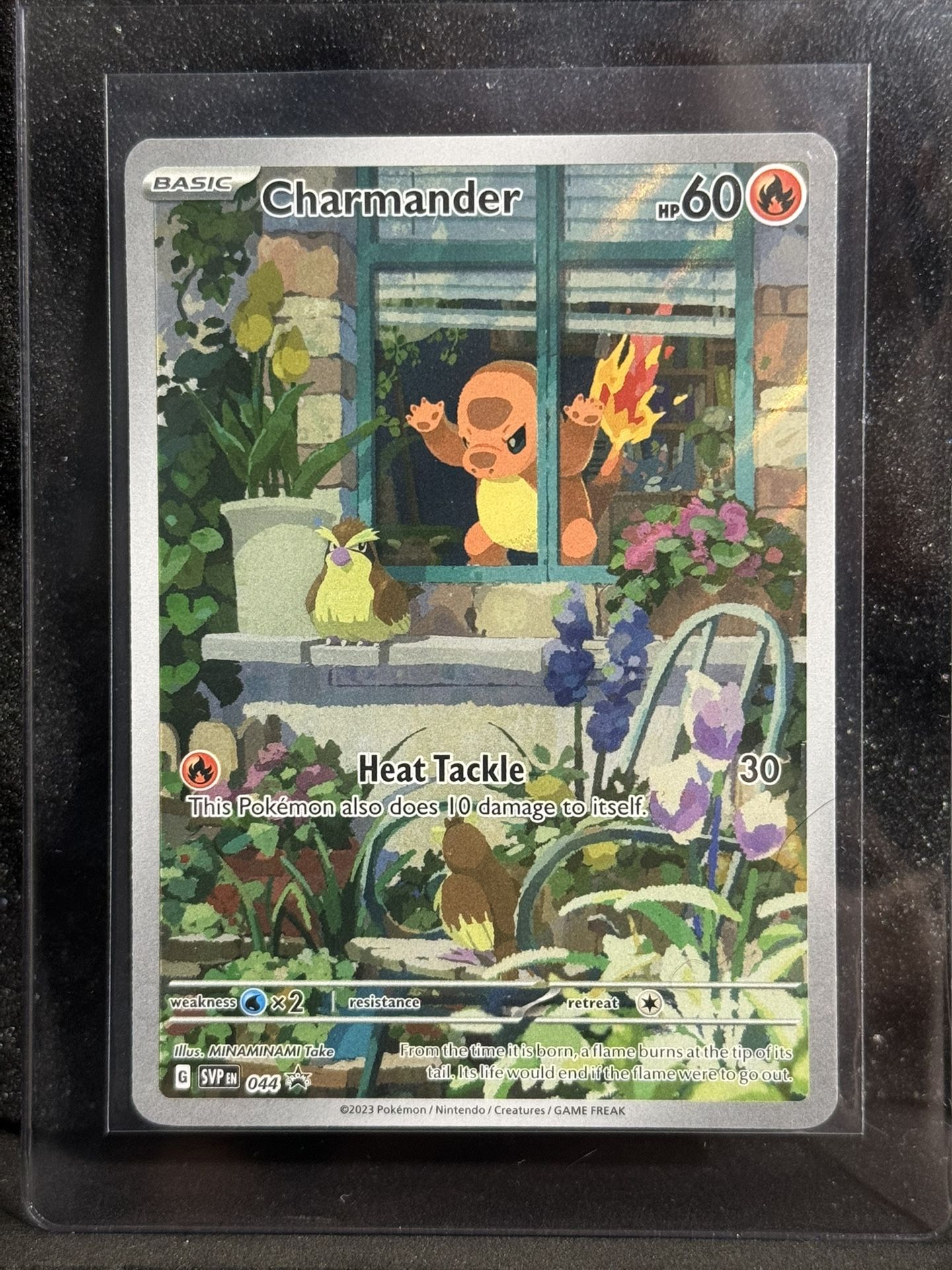 Charmander #044