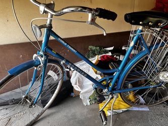 Schwinn world tour three speed