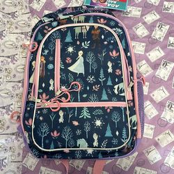Brand new Disney frozen backpack