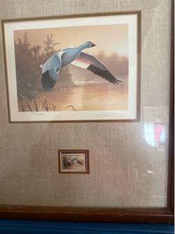 Duck stamp and print  vintage