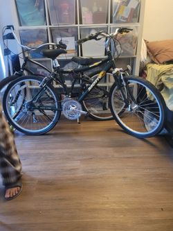 Bicicletas