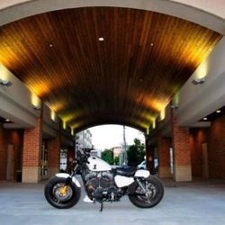 2015 Harley Davidson Sportster 1200
