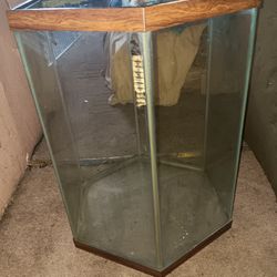 35 Gallon Fish Tank
