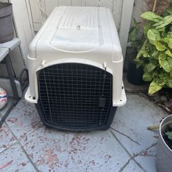 Large Dog Kennel 