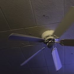 Ceiling fan