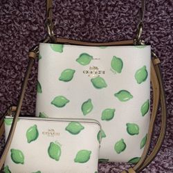 Coach Purse With Wallet