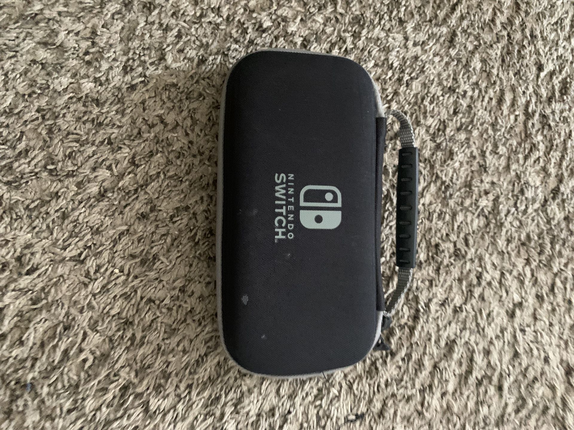 Nintendo Lite Carrying Pack