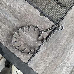 Large Dog Training Collar