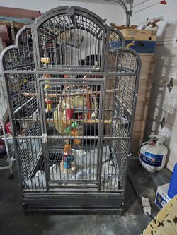 Big Bird Cage