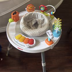 Skip hop acivity center