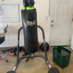 Everlast punching bag with gloves