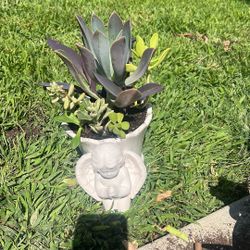 Beautiful Angel Succulent Planter
