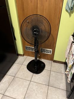 Fan Like New