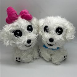 Maltese Plush Dogs