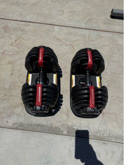 Bowflex 552 Dumbbells and Adjustable Bench
