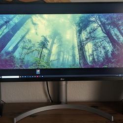 LG 4K Monitor