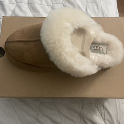 Size 8 Uggs 