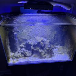 29 Gallon Fishtank