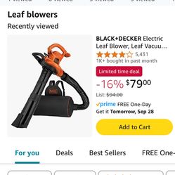 Black And Decker Leaf Blower vacuum