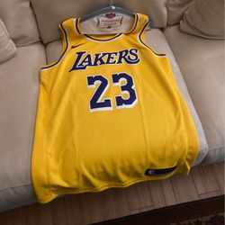Lebron James Nike Lakers Jersey