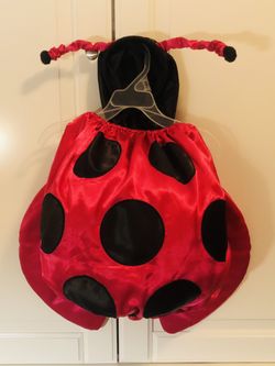 Ladybug costume