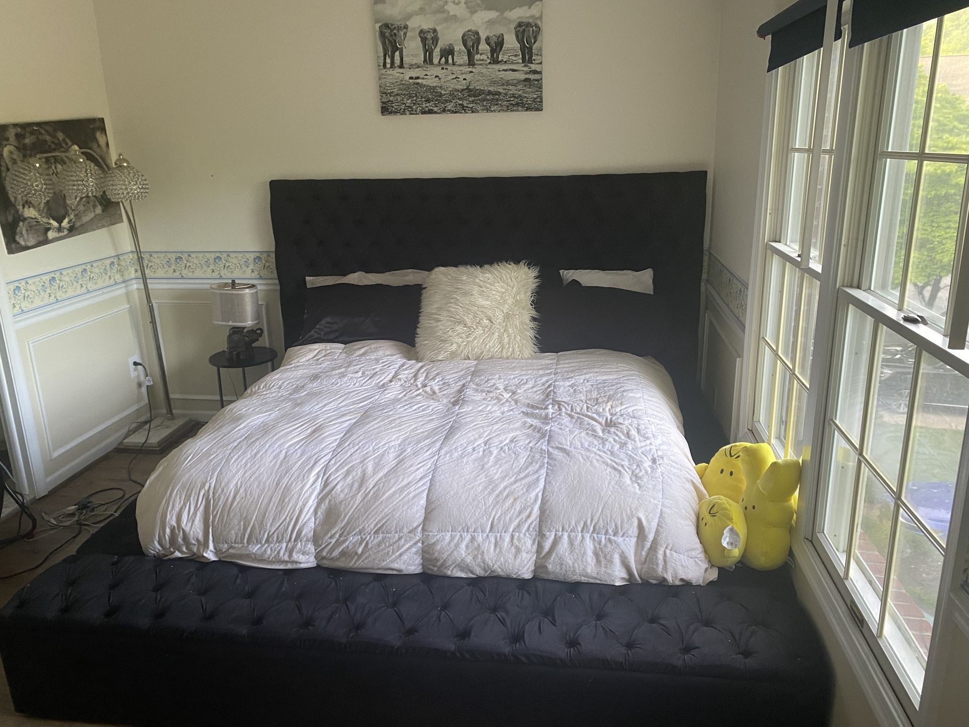 🛌 Oversized 96” x 96” Custom Velvet Platform Bed w/ Storage – $2,500 OBO (Retails 4,000)