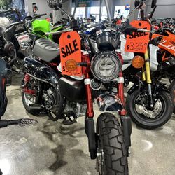 2021 Honda Monkey 