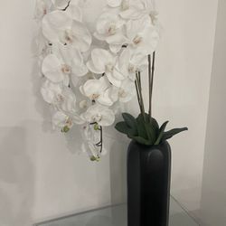 New Potted White Orchid Home Decoration, 37 Inches, Perfect Condition. Was $200 From Z Gallerie
