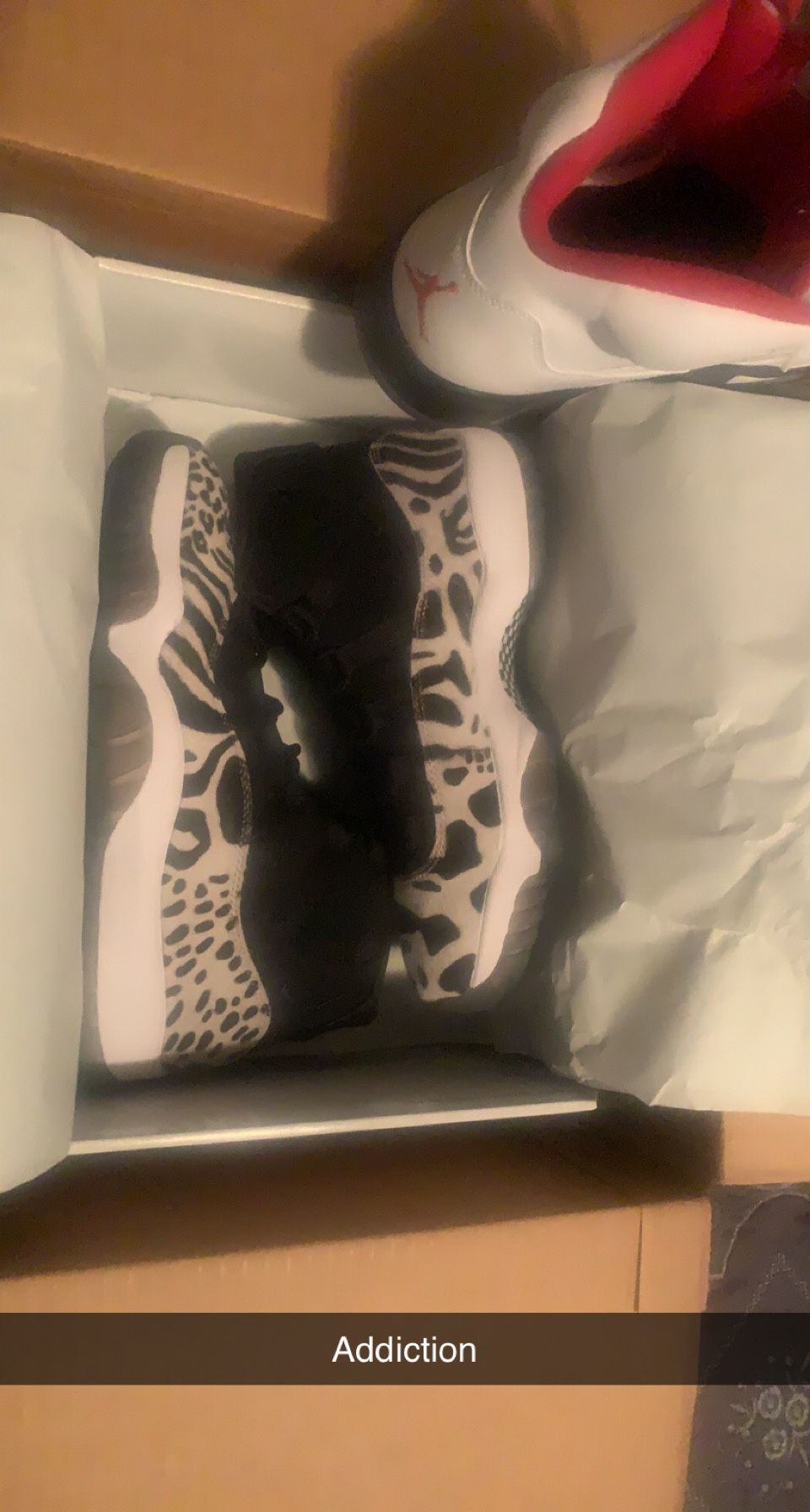 Jordan 11 Safari