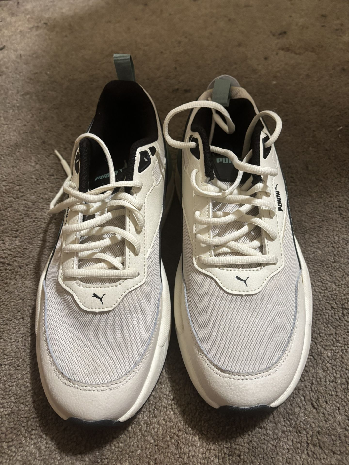 Pumas