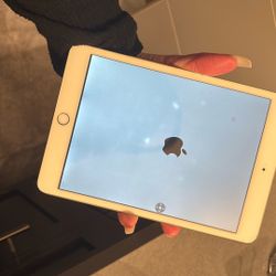 iPad Mini 3