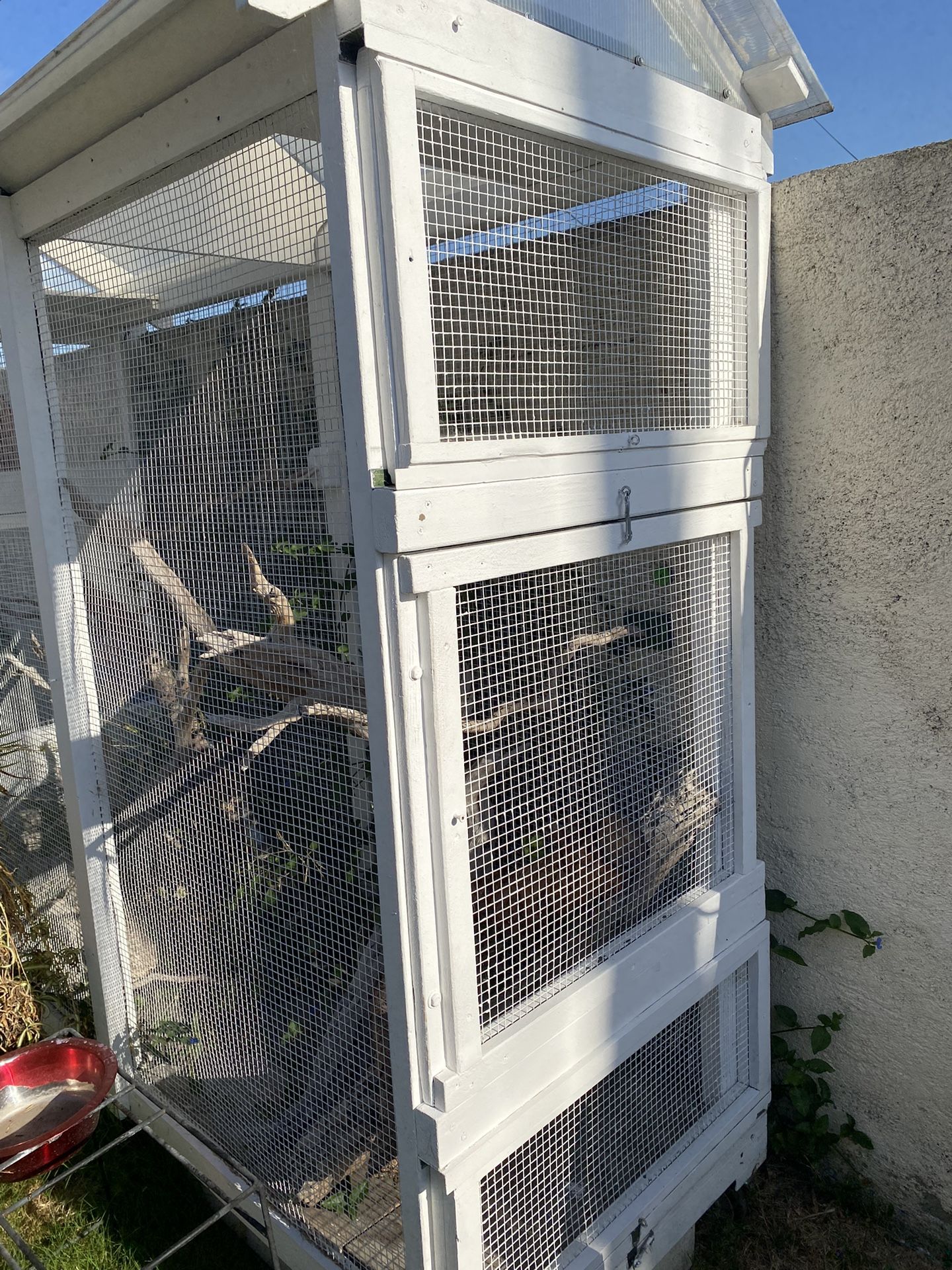 Bird Or Reptile Cage
