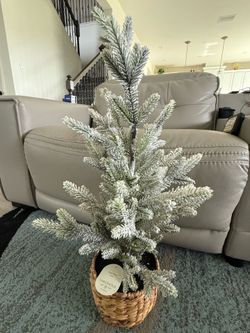 New Christmas tree