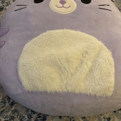 cat Squishmallow 