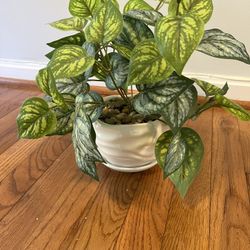 Artificial Potted Plant - 1 Foot Tall, Vase Diameter Appx. 5.5 Inches 