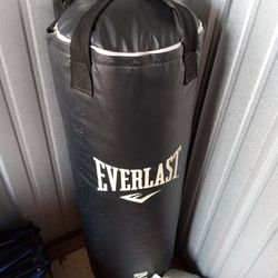 $65 Everest Punching Bag