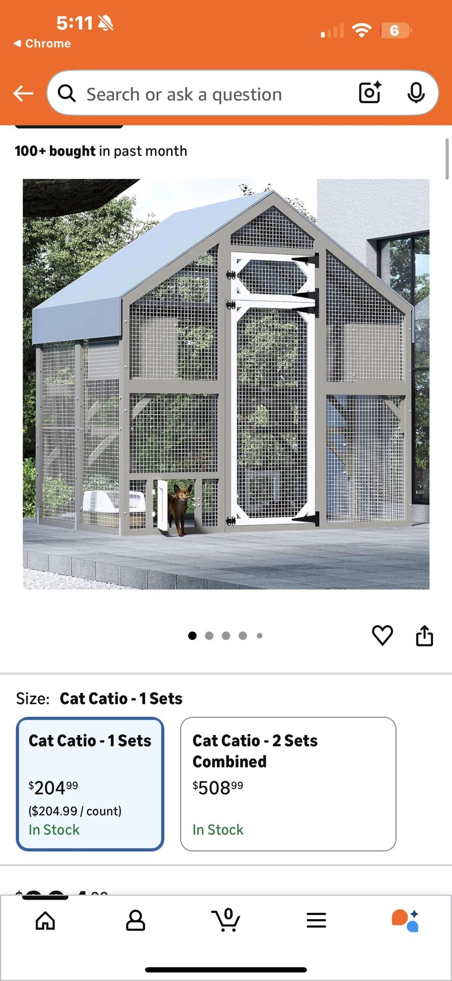 Cat Patio