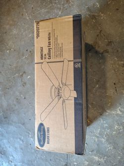 Ceiling fan