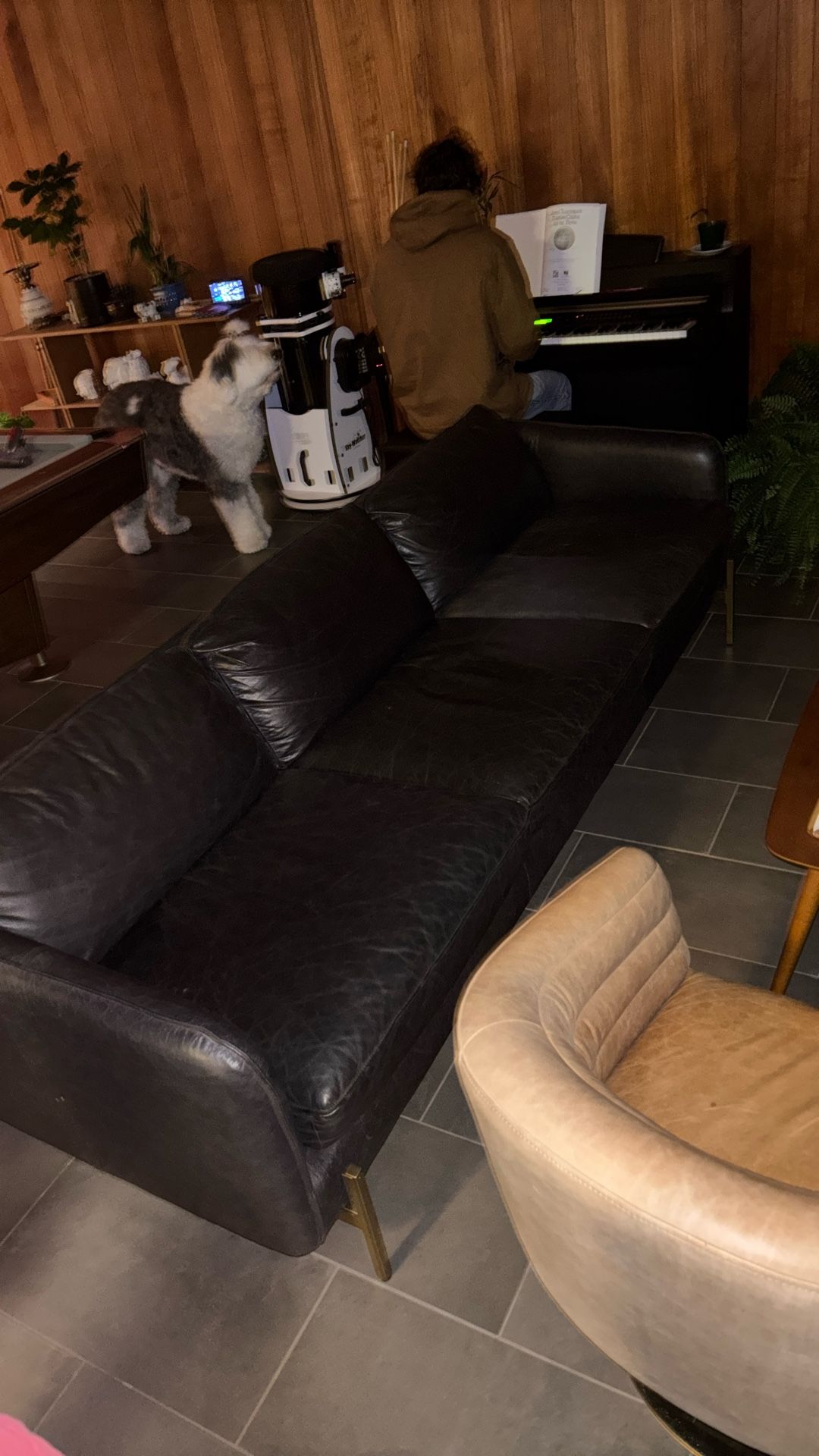Great Couch No Issues