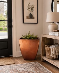 Modern Copper Planter Pot w/ Succulent Plant 🪴
